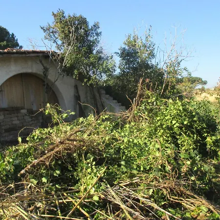 Appartamento Mare Campagna Aperta Bb Rustica Ardea